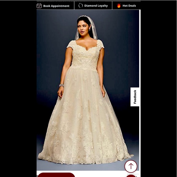 Never worn 18w beautiful wedding dress. In original packaging with tags.
